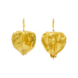 Physalis Gold Ohrringe