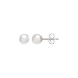Akoya Pearl White Gold Stud Earrings