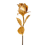 Golden Rose