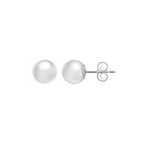 Akoya Pearl White Gold Stud Earrings