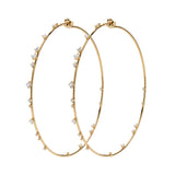 Gold Earrings with Titanium and Diamond