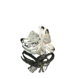 grey diamond ring 18K white gold luxury jewelry